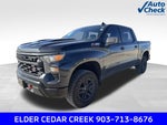 2023 Chevrolet Silverado 1500 Custom Trail Boss